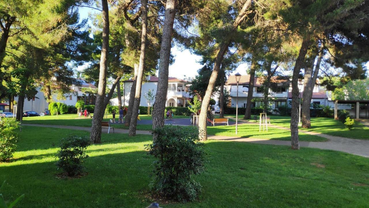 Apartman Morena Novigrad Istria Exterior foto